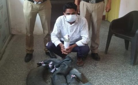 कच्ची शराब की भट्टियां तोड़ कर 1000 ली0 लहान नष्ट कर 80 लीटर कच्ची शराब बरामद कर एक व्यक्ति को किया गिरफ्तार‌।