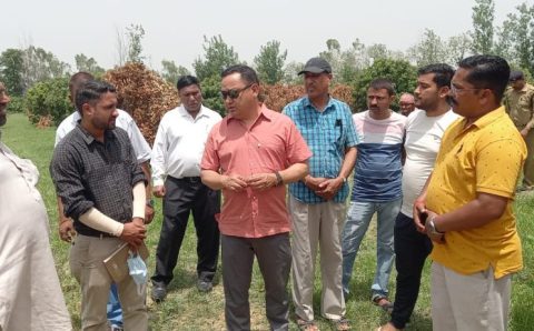 काश्तकारों की 40 प्रतिशत से अधिक फसल के नुकसान पर क्षेत्रीय काश्तकारों को अहेतुक सहायता राशि प्रदान की गई