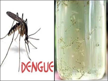 मानसून सीजन में डेंगू व मलेरिया को लेकर एक्टिव हुआ स्वास्थ्य विभाग।