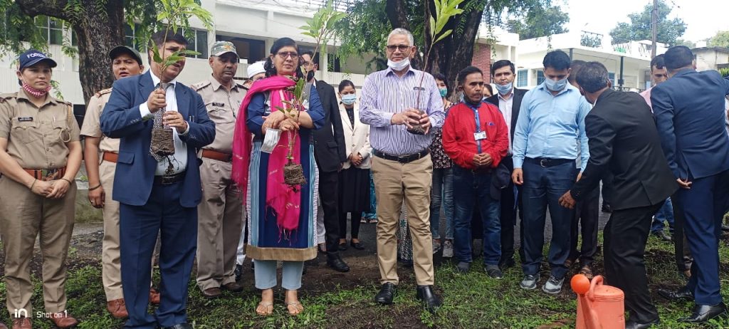 प्रशासनिक न्यायमूर्ति श्री मनोज तिवारी के निर्देशन में  पंचवाटिका में फलदार व छायादार पौधों का रोपण किया गया