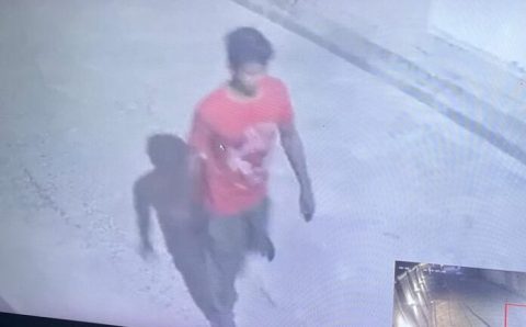 झपटमार गली मौहल्लो में दे रहे वारदातों को अंजाम विष्णुपुरी गली में लड़की को बनाया शिकार सीसीटीवी में कैद