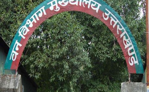 प्रदेश में बड़ा घोटाला उजागर नियमों को धताबता रिटायर्ड कर्मियों को वन निगम ने दी संविदा पर नौकरी