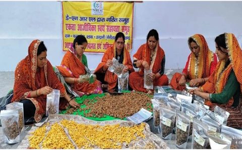 सफलता की कहानी एकता स्वंय सहायता समूह की महिलाओं ने स्वरोजगार अपनाकर खुशहाली का थामा दामन