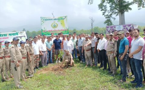 हरियाली के प्रतीक हरेला पर्व के अवसर पर पश्चिमी वृत्त, नंधौर, हल्द्वानी वन प्रभाग में वन सरक्षक और आइटीबीपी के सैकड़ों कर्मचारियों द्वारा वृक्षारोपण किया गया।