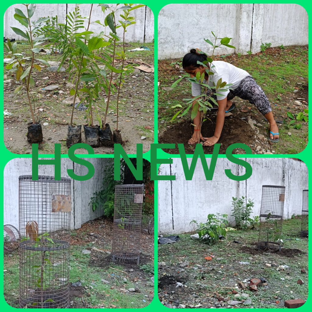 पौधों की सुरक्षा के लिए कृष्णा लोहा भण्डार कमलुवागांजा रोड के स्वामी गौरव अग्रवाल ने लोहे के जाल का सहयोग किया