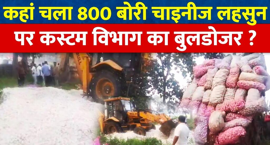 बड़ी कार्यवाही 800 बोरी चाइनीज लहसुन पर चलवाया बुलडोजर