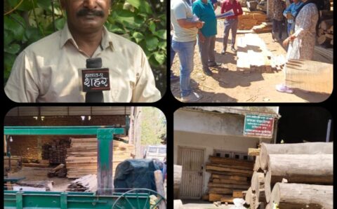 आरा मशीन संचालकों को जनस्वास्थ्य से खिलवाड़ करना पड़ा भारी
