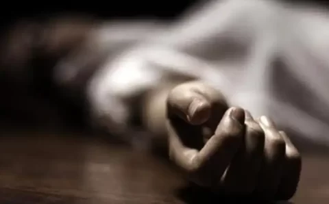 घास काट रही महिला के ऊपर गिरा पत्थर डॉक्टर ने मृत घोषित किया,,,,,,