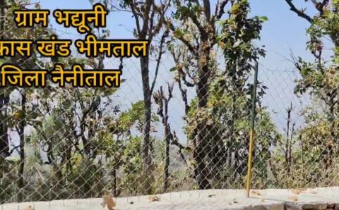3.22 लागत की योजना चैन लिंक घेरबाड़ से लगभग 35 से अधिक परिवार हुए लाभार्थी