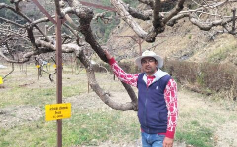 सरकारी योजनाओं का लाभ लेकर कमल गिरी बने सफल उद्यानपति