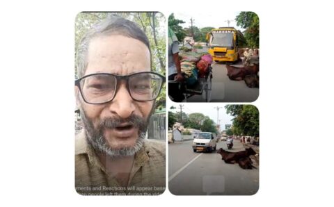 खबर का असर