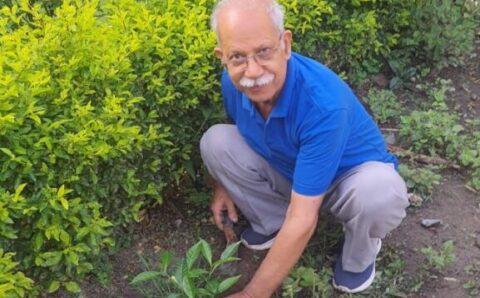 हल्द्वानी टैक्स बार एसोसिएशन के वरिष्ठ अधिवक्ता विनय कुमार टंडन बने पर्यावरण रक्षक