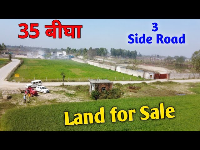 35 बीघा जमीन घोटाला नगर निगम ने 15 करोड़ की जमीन 54 करोड़ में खरीदी नपेंगे अधिकारी…